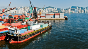 2025_02_17_Exportacion